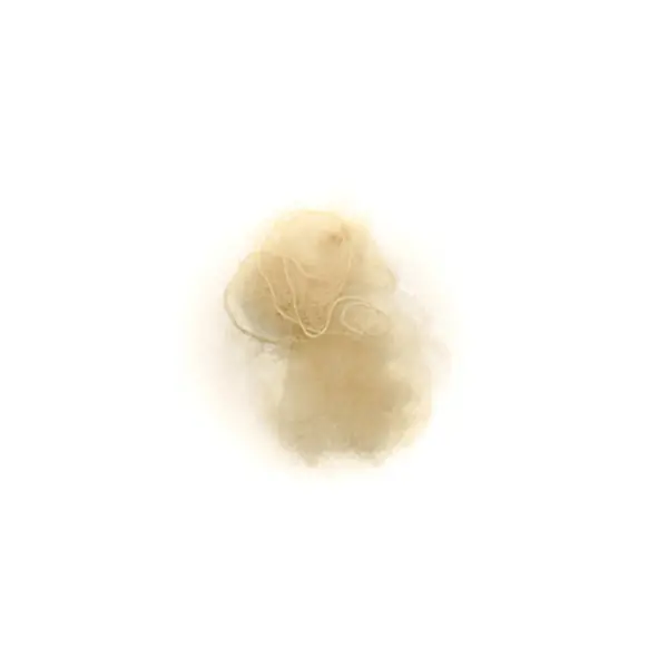 Cumpără acum Fileu par coc Raphael Perrier Blonde Invisible Updo Net 2 buc