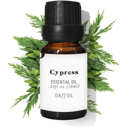 Expediere rapidă Ulei esențial Cypress, Daffoil, 10ml, natural
