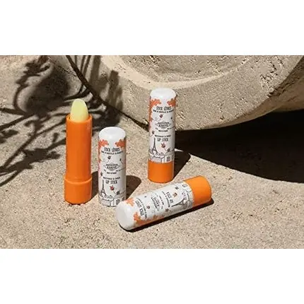 Balsam de buze Institut Karité Paris, vanilie, 4g Preferatul clienților